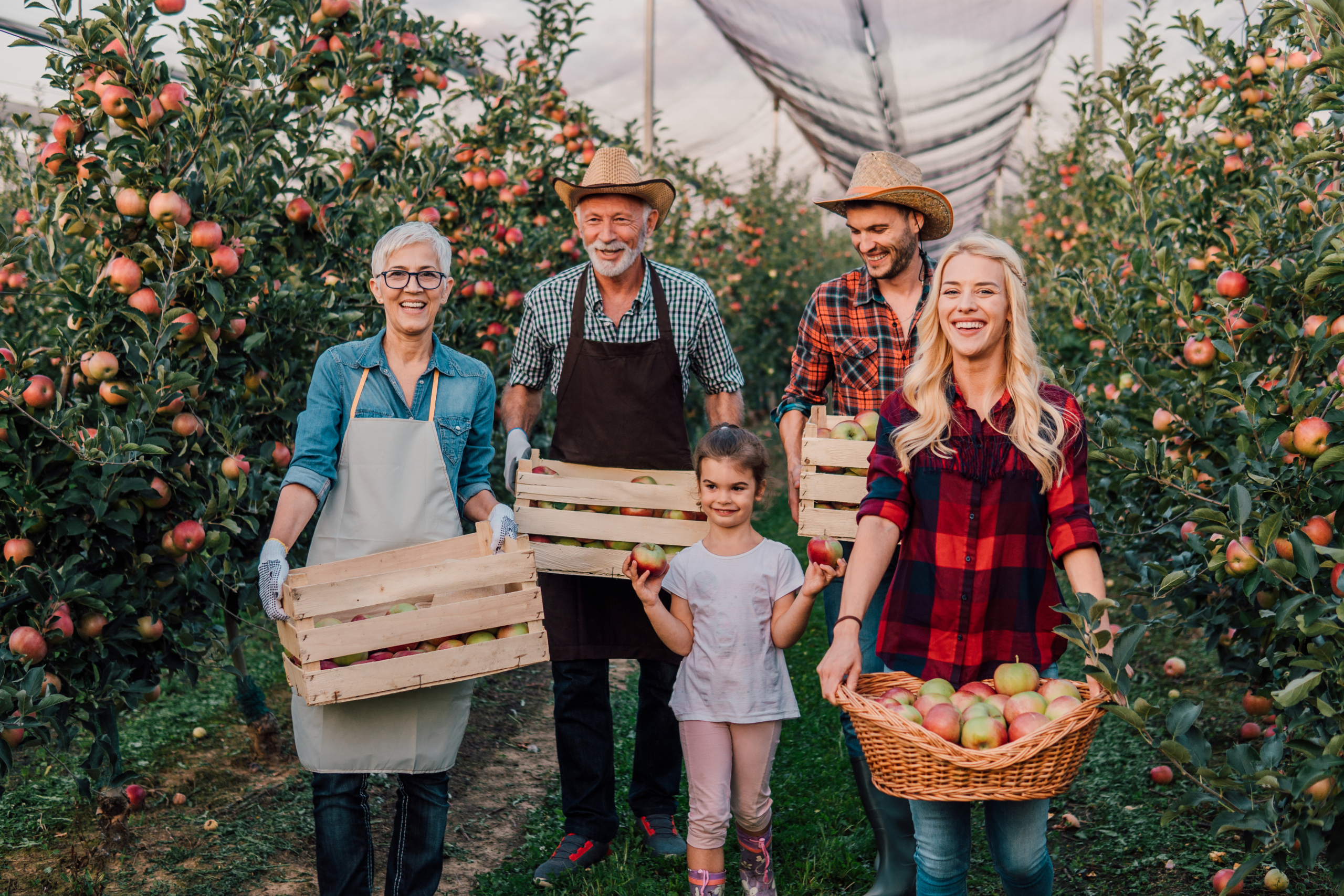 Multi-generation family holding apples in the box Happy big family standing at the apple orchard together, holding boxes of apples